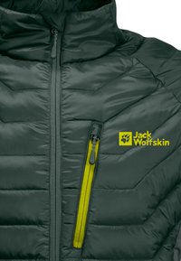 Jack Wolfskin ROUTEBURN PRO  - Giacca invernale - black olive   firefly