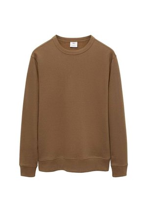 Brauner Pullover aus weicher Stoffqualität, mit rundem Halsausschnitt, langen Ärmeln und geradem Saum ohne sichtbare Logos oder Muster.