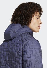 Adidas Terrex Jachetă de iarnă - shadow navy