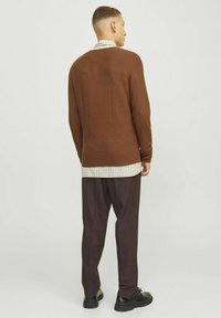 Suéter de punto texturizado marrón sobre una camisa de cuadros, combinado con pantalones oscuros y zapatos negros, visto desde atrás.