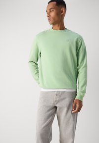 Mint green sweatshirt with long sleeves, ribbed cuffs, and a round neckline. Worn over a white shirt, paired with light grey pants.
