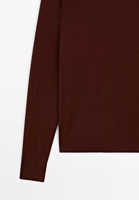 Brown long-sleeve knit sweater shown at an angle, featuring ribbed cuffs and hem, smooth texture, and a fitted design.