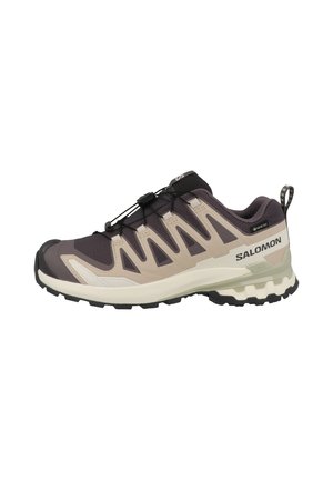 Chaussure de trail running extérieure beige et gris foncé avec semelle noire, système de laçage rapide et logo Salomon sur le côté.