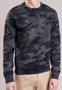 Polo Ralph Lauren Sweatshirt - grey