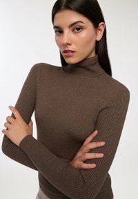 Maglione a collo alto marrone a coste con maniche lunghe, design aderente e texture morbida, caratterizzato da cuciture minime e un colletto avvolgente.