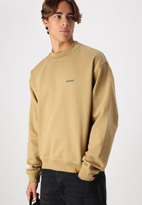 Bareen BRAX OVERSIZE CREW NECK - Sportinis megztinis - antique bronze