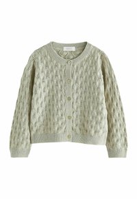 Next POINTELLE  REGULAR FIT - Kardigán - mint green