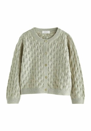 POINTELLE  REGULAR FIT - Kardigán - mint green