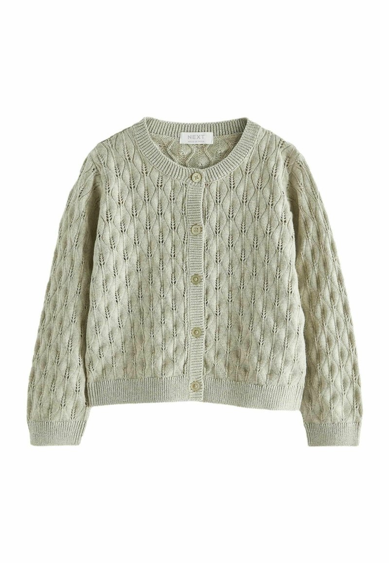 Next POINTELLE  REGULAR FIT - Kardigán - mint green