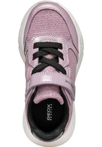 Geox Baskets basses - dark rose black