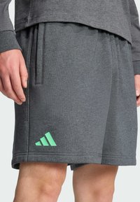 Šedé sportovní šortky vyrobené z měkké tkaniny, s elastickým pasem, bočními kapsami a světle zeleným logem Adidas na lemu.