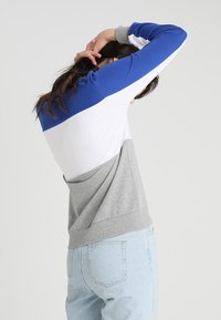 Färgglad sweatshirt med sektioner i blått, vitt och grått. Mjukt tyg med långa ärmar och avslappnad passform. Bakvänd vy visar design och textur.