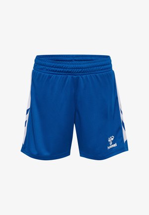 Blaue Sportshorts aus glattem Stoff mit weißen Seitenakzenten und einem Logo unten rechts. Elastischer Taillenbund inklusive.