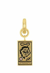Goldenes rechteckiges Medaillon mit Löwenkopf, Unendlichkeitssymbol, kleinem Edelstein, Blatt und dem eingravierten Wort "STRENGTH" am unteren Rand.