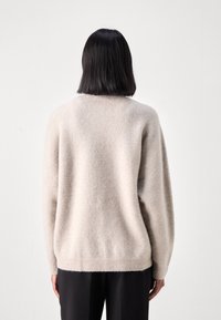 Maglione beige, lavorato a maglia con una vestibilità ampia e oversize, dotato di polsini e orlo a costine. Tessuto morbido e design minimalista, visto da dietro.