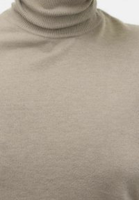 Beige rolák vyrobený z měkké pleteniny, s vroubkovaným límcem a hladkým povrchem, s přiléhavým střihem.