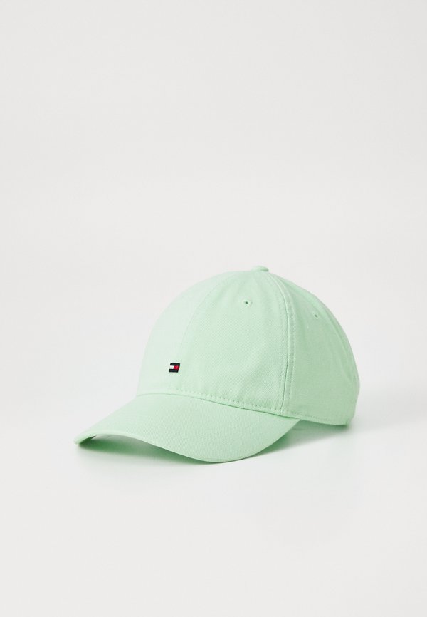 FLAG 6 PANEL UNISEX - Cap - mint gel