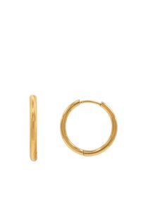AMELIE - Orecchini - goldfarbend