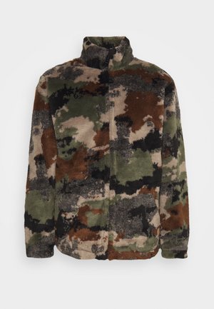 Carhartt WIP PLAINS LINER - Winter jacket - beige/olive