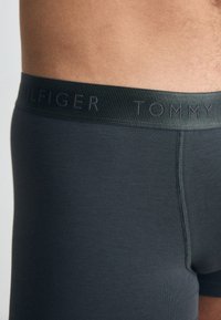 Tommy Hilfiger TRUNK 3 PACK - Calzoncillos - desert sky/dark ash/des sky