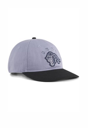 VINTAGE LOW CURVE  - Cap - gray sky