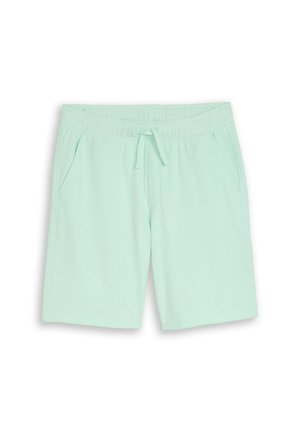 Hellgrüne legere Shorts mit elastischem Bund, Kordelzug und Seitentaschen vor weißem Hintergrund.