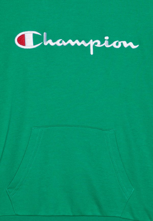 ICONS HOODIE WITH LARGE LOGO - Hoodie3