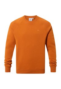 Orange sweatshirt featuring a crew neckline, long raglan sleeves, ribbed cuffs and hem, with a small brand logo on the front.