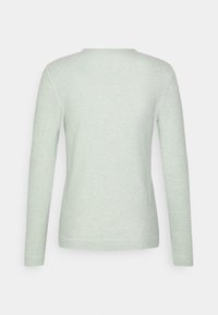 Ljusgrön långärmad tröja med rund hals och slim fit, visad bakifrån mot en neutral bakgrund.