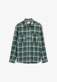 Unausgewählt, green multicolor check