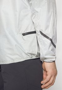 Adidas Terrex XPERIOR LIGHT WINDWEAVE - Neperpučiamoji striukė - silver green