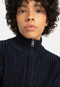 Zwart en blauwe gestreepte trui met een hoge kraag en een halve rits. Ribbelstructuur over de hele stof.