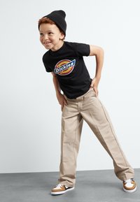 Juodas trumpomis rankovėmis marškinėliai su spalvingu "Dickies" logotipu, smėlio spalvos kelnės, juodas beanie, ir rudos/baltos sportbačiai, nustatyti šviesiame fone.
