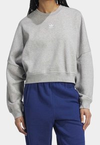 Ljust grå kort sweatshirt med oversize ärmar och rund hals, med en liten vit logotyp. Bärs med marinblå byxor.