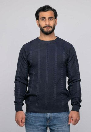 Homme aux cheveux foncés et à la barbe portant un pull marine en maille torsadée et un jean bleu, debout devant un fond gris clair uni.