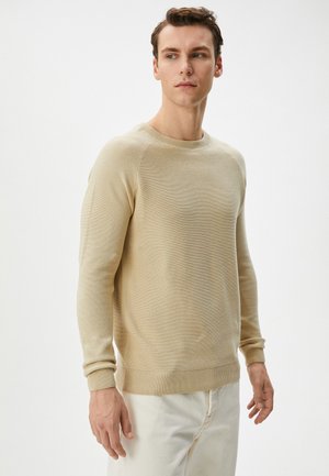 RAGLAN SLEEVE CREW NECK SWEATER - Jersey de punto - beige