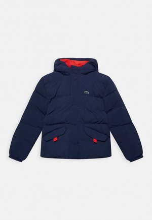 Winter jacket - navy blue/redcurrant bush