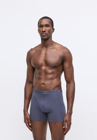 Gray boxer briefs with a black waistband featuring the "BJÖRN BORG" logo. The fabric has a smooth texture and snug fit, designed for comfort.