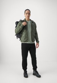 Peak Performance EXPLORE LOGO TEE  - Basic póló - limit green