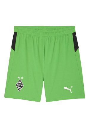 BMG REPLICA - Klubbkläder - green-warm white