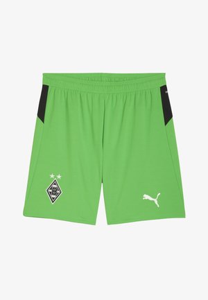 BMG REPLICA - Sporto klubų atributika - green-warm white