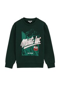 Zelený sveter s dlhými rukávmi, okrúhlym výstrihom a prednou grafikou zobrazujúcou hory a text „Monte lac - Les Alpes“ v bielej a červenej farbe.