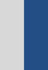 silver / eletric blue