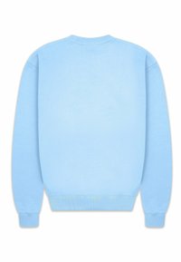 Lichtblauwe sweatshirt met een ronde hals en ribgebreide boorden, met een effen textuur zonder extra patronen of accenten.