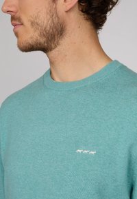 Pull à col rond en tricot de couleur bleu-vert clair, fabriqué à partir d'un tissu doux. Présente un petit logo d'animal blanc sur la poitrine. Design épuré et simple.