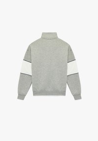 Grijze sweatshirt met hoge kraag, lange mouwen, met witte en marineblauwe strepen op de mouwen. Gemaakt van zachte stof. Achteraanzicht.