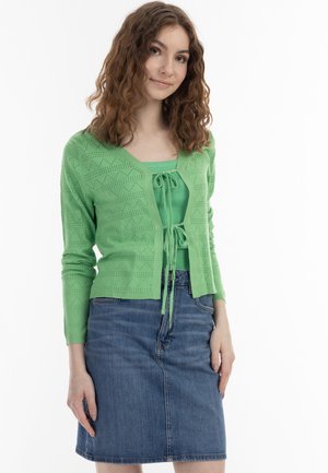 Tânără cu păr castaniu creț, purtând un cardigan verde tricotat și un top asortat cu o fustă din denim albastru, stând în fața unui fundal alb.