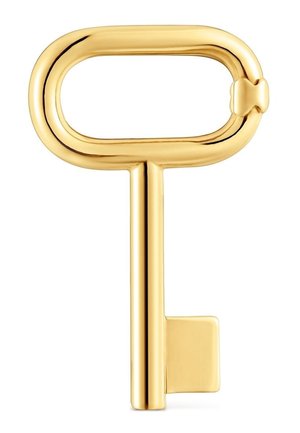 Glänzender goldener Schlüssel mit ovalem Bart und rechteckigem Schlüsselteil auf weißem Hintergrund.