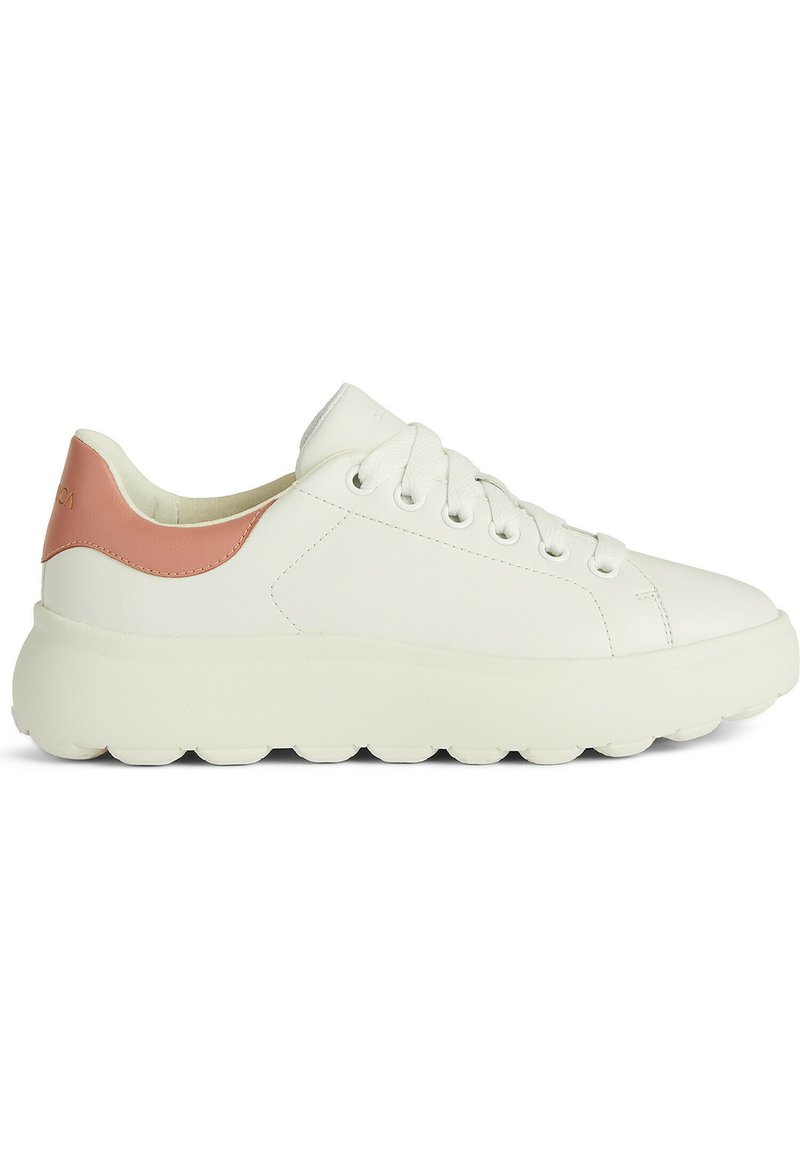 Zapatillas