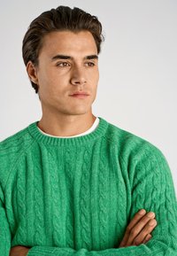 Jersey verde de punto con cuello redondo, presenta patrones texturizados y puños acanalados. Material suave con un ajuste relajado.